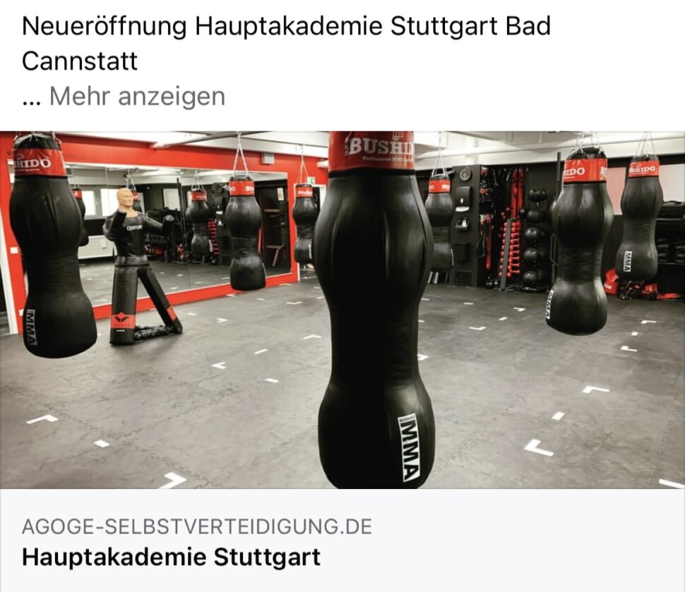 AGOGE MMA WingTsun Selbstverteidigung
